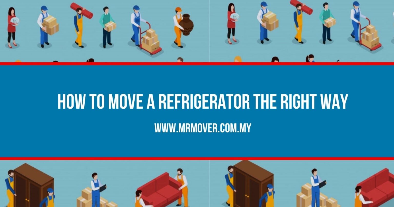 How to Move a Refrigerator Like a Pro [2024] Mr.Mover