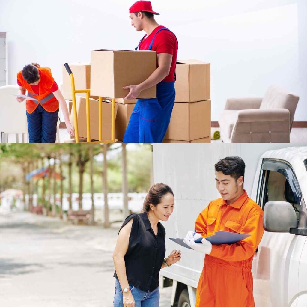 movers and packers